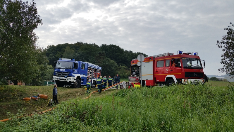 Bild1