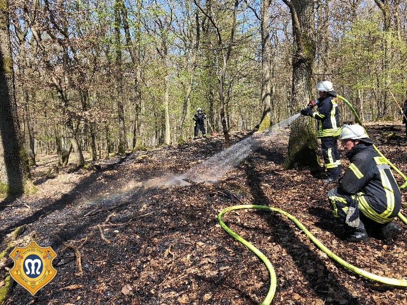 F WALD 2 F WALD 2