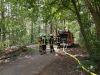 F WALD 2