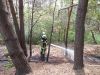 F WALD 2