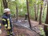 F WALD 2