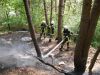 F WALD 2
